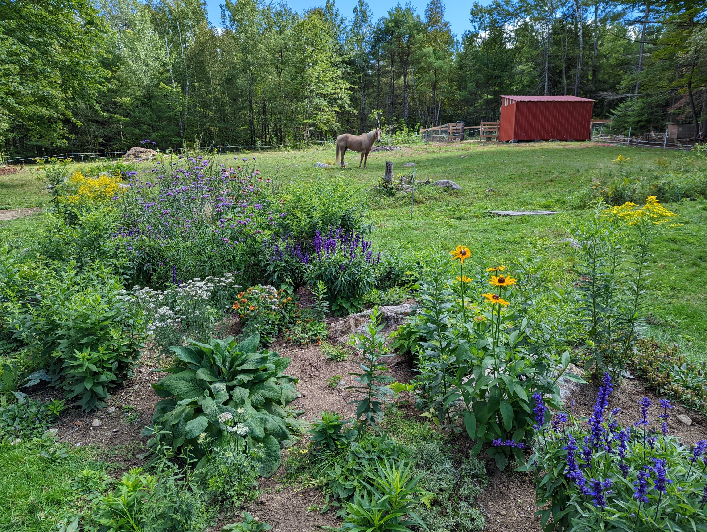 308 Barrows Road Sumner, ME 04292 - Photo 24 of 80 Herb garden!