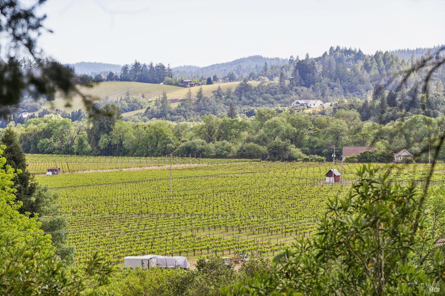 801 Dry Creek Road Healdsburg, CA 95448 - Photo 15 of 92