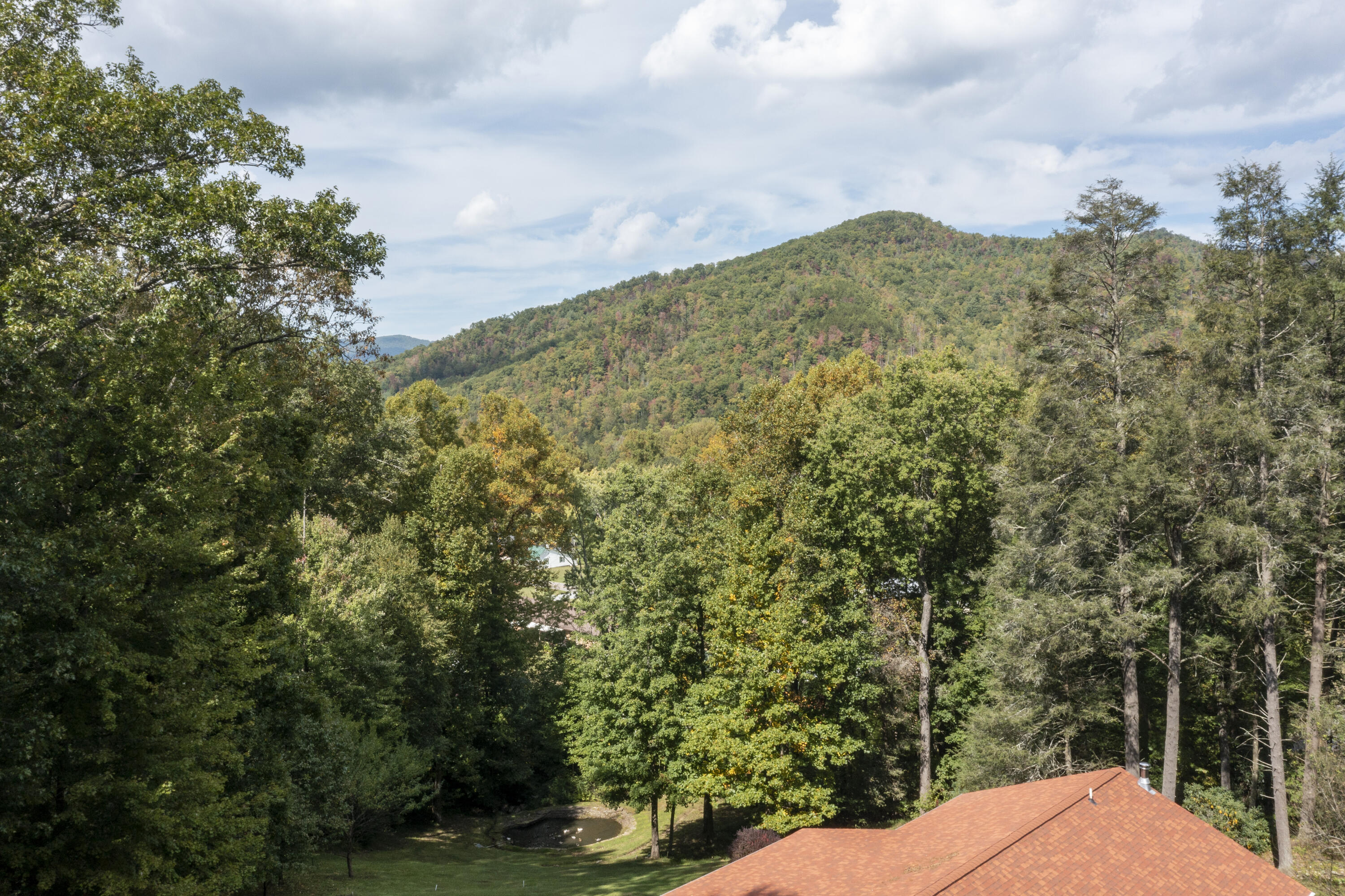 1378 Rock Creek Road Erwin, TN 37650 - Photo 5 of 70 RCR-aerials-5