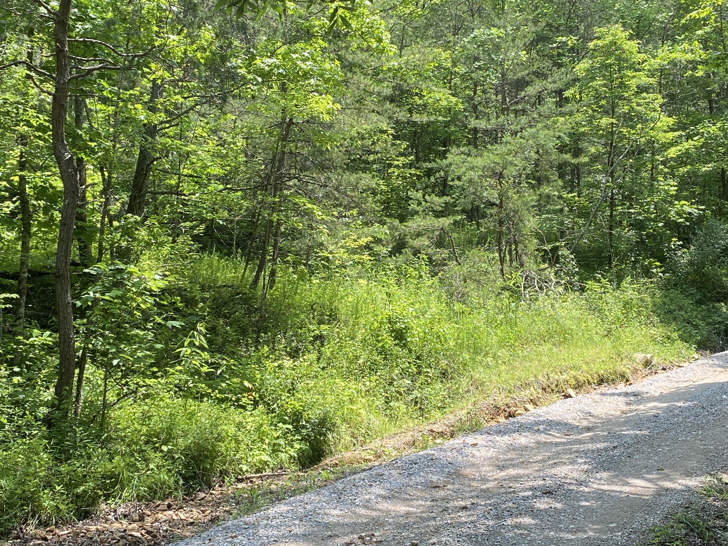 0 Rock Creek Road Strunk, KY 42649 - Photo 6 of 14 IMG_7394