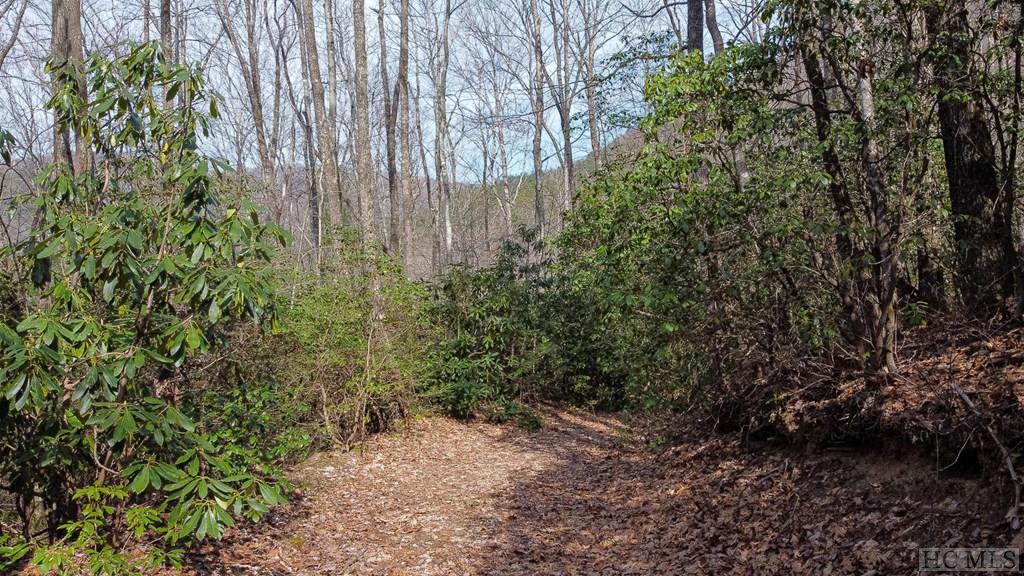 7 Tower Road Sapphire, NC 28774 - Photo 24 of 28 Gallery Image 24