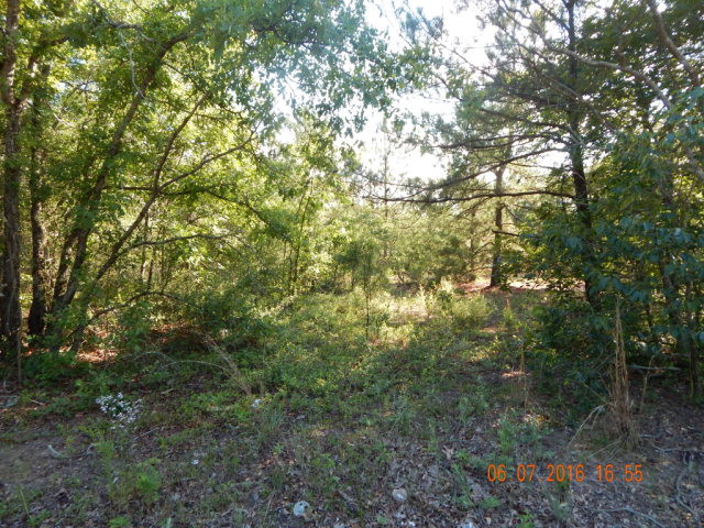 0 Brighthop Road Trenton, SC 29847 - Photo 1 of 3