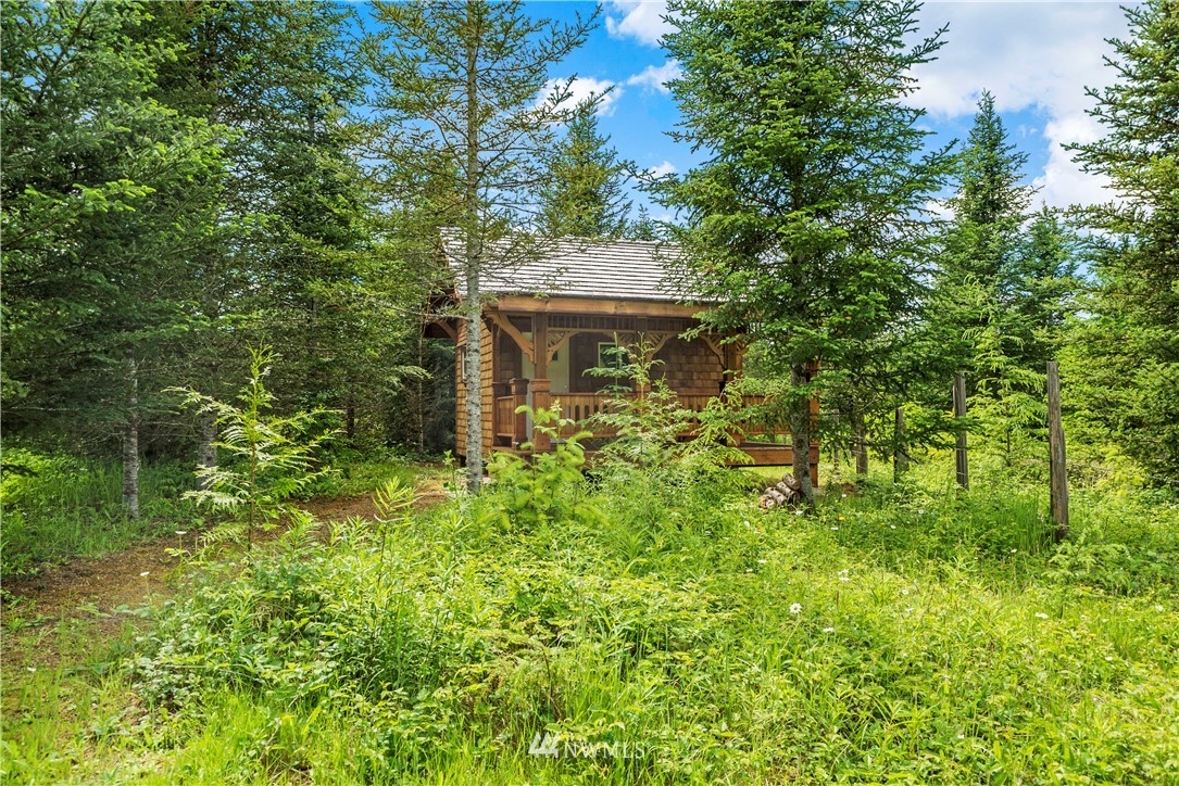0 North Fork Road Chehalis, WA 98532 - Photo 9 of 20