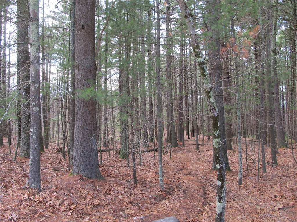 0 Douglas Hook Road Glocester, RI 02814 - Photo 3 of 3