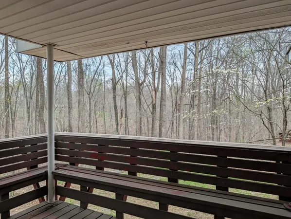 a close view of backyard with hardwood and deck