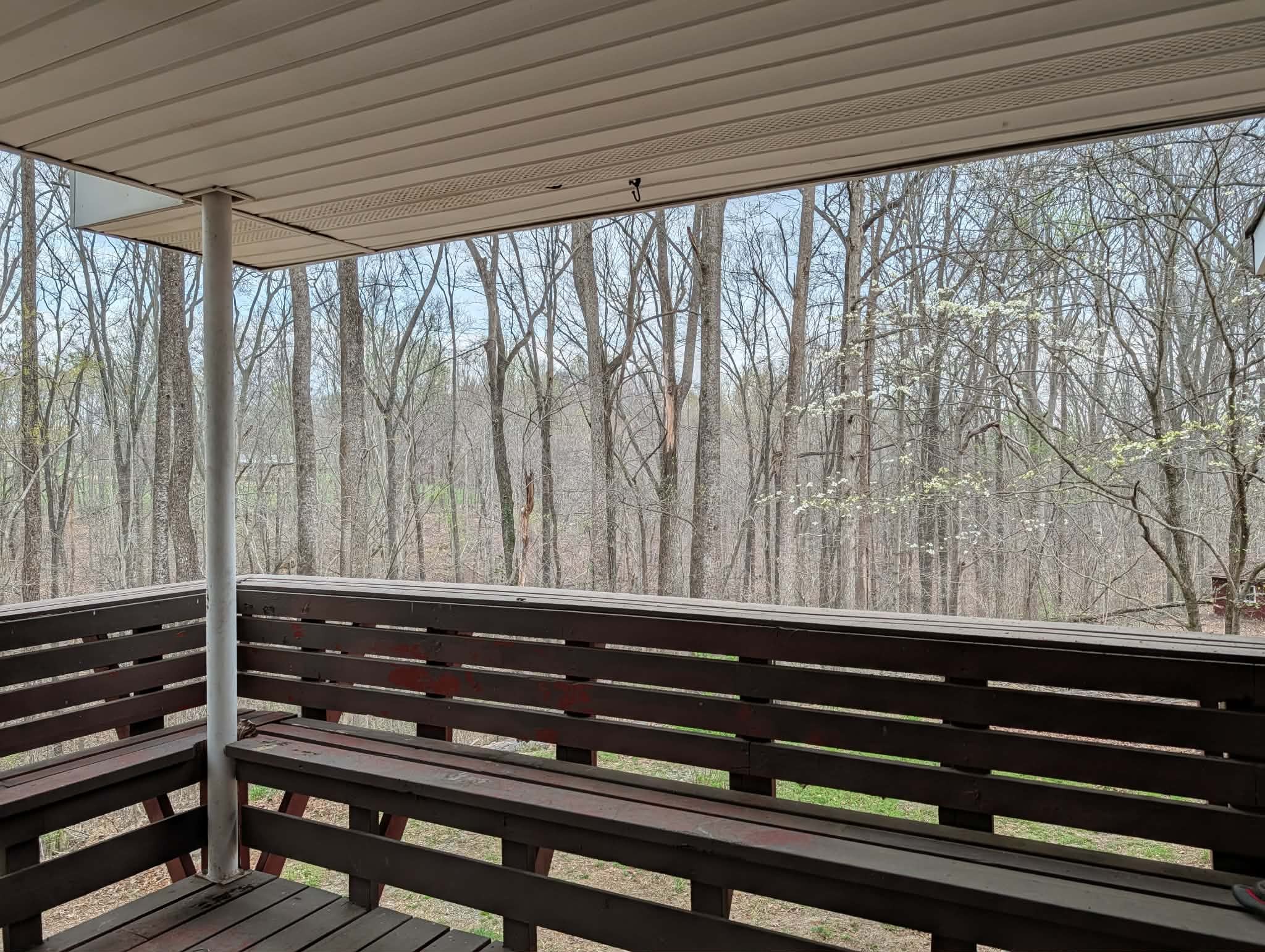 1581 Galen Road Lafayette, TN 37083 - Photo 12 of 36 a close view of backyard with hardwood and deck