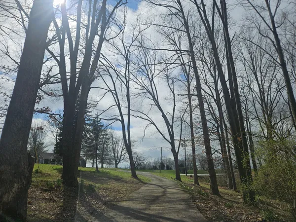 a view of outdoor space with lots of trees