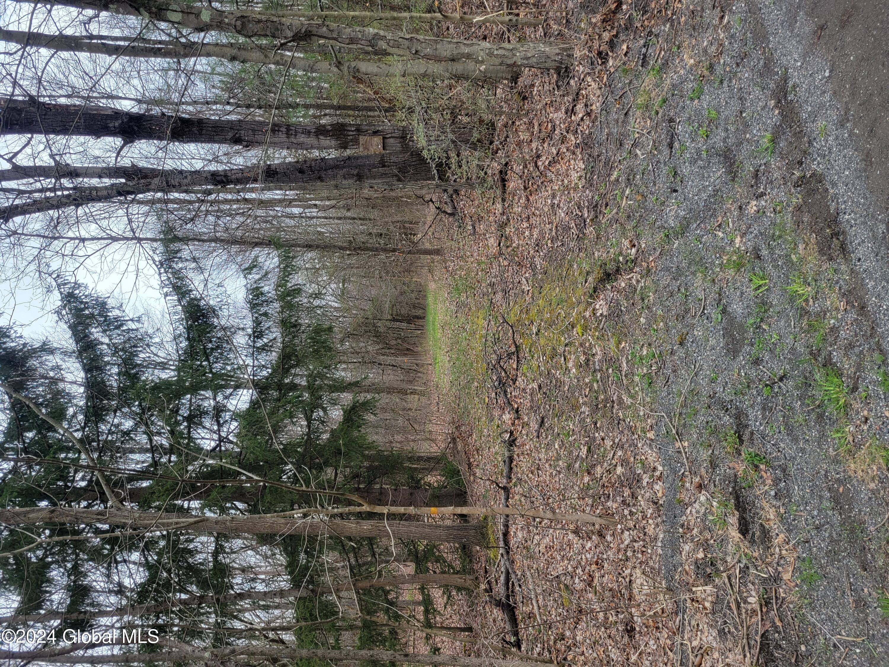 0 Post Hill Road Taghkanic, NY 12521 - Photo 2 of 10 Post Hill Rd Drive