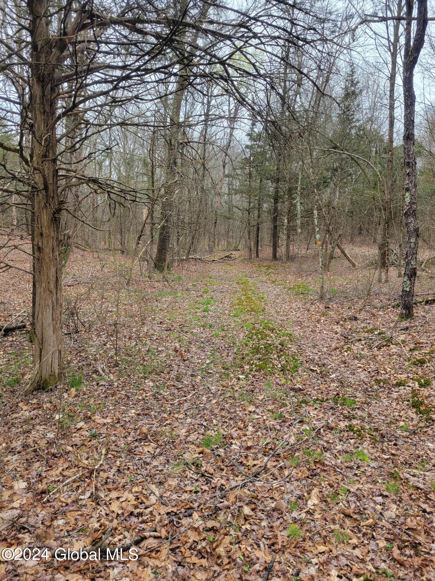 0 Post Hill Road Taghkanic, NY 12521 - Photo 3 of 10 20240419_131357