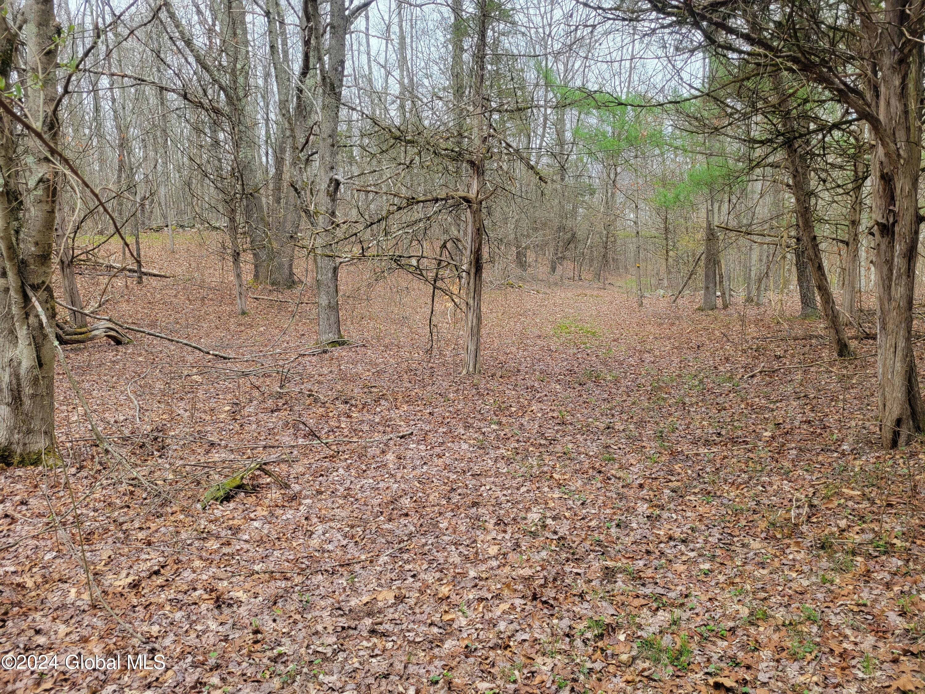 0 Post Hill Road Taghkanic, NY 12521 - Photo 4 of 10 20240419_132711