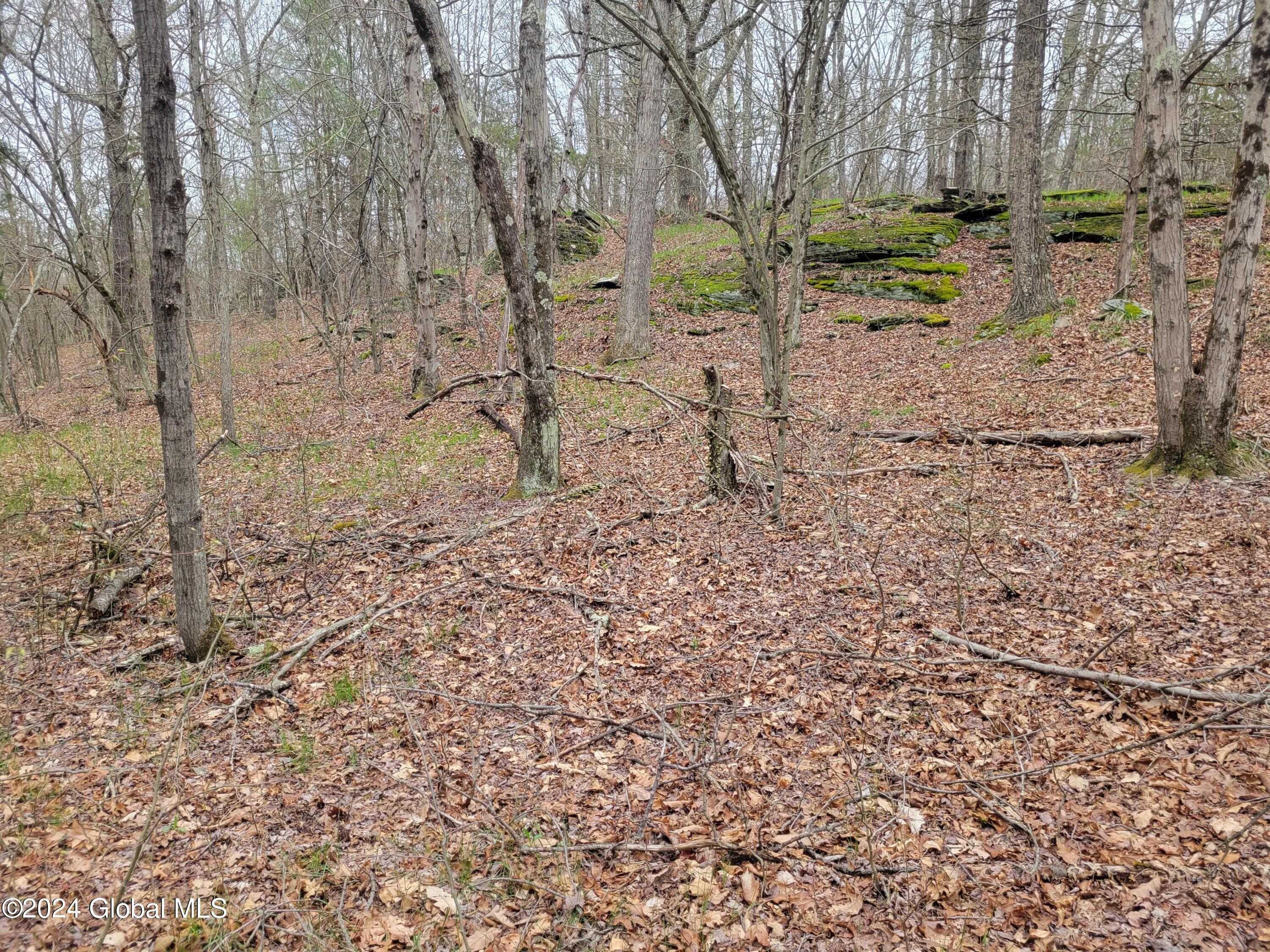 0 Post Hill Road Taghkanic, NY 12521 - Photo 5 of 10 20240419_131414