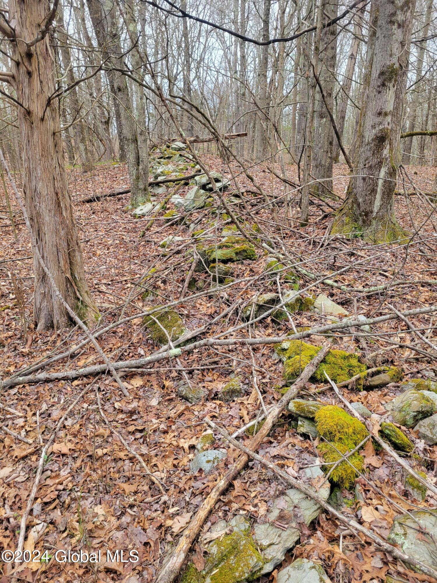 0 Post Hill Road Taghkanic, NY 12521 - Photo 6 of 10 20240419_131540