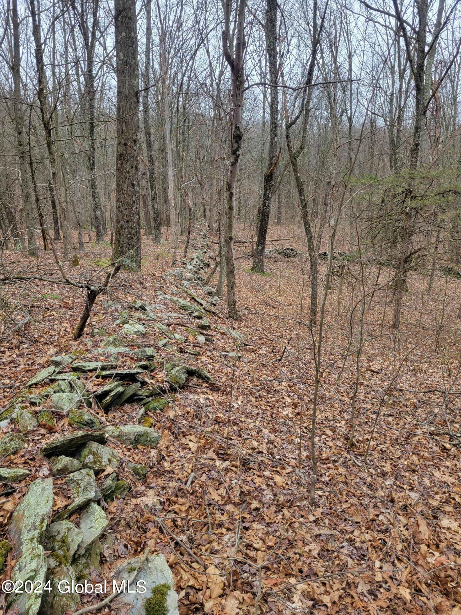 0 Post Hill Road Taghkanic, NY 12521 - Photo 7 of 10 20240419_131730