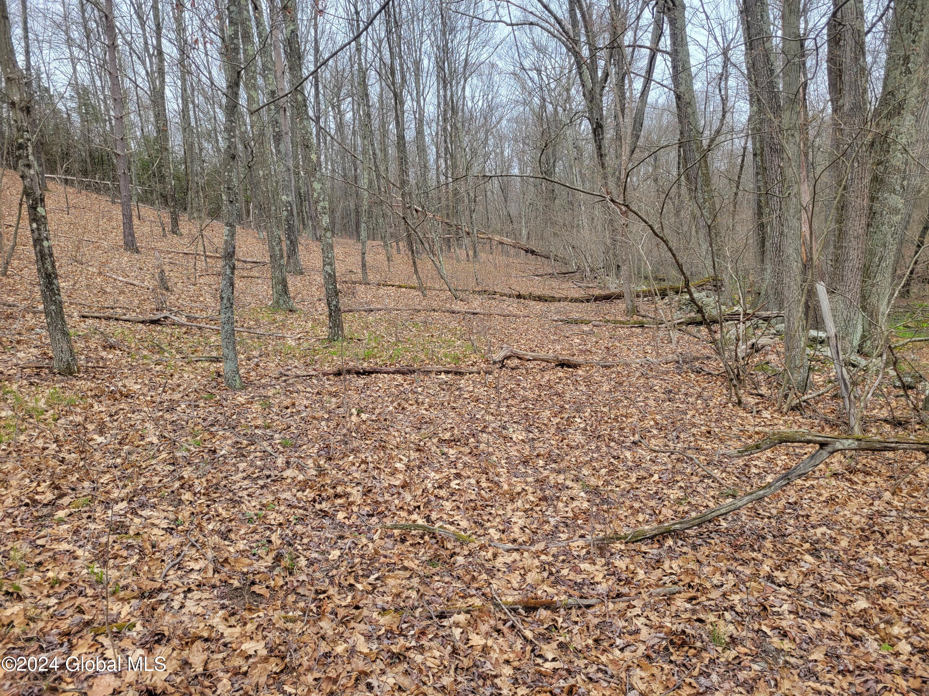 0 Post Hill Road Taghkanic, NY 12521 - Photo 8 of 10 20240419_132404