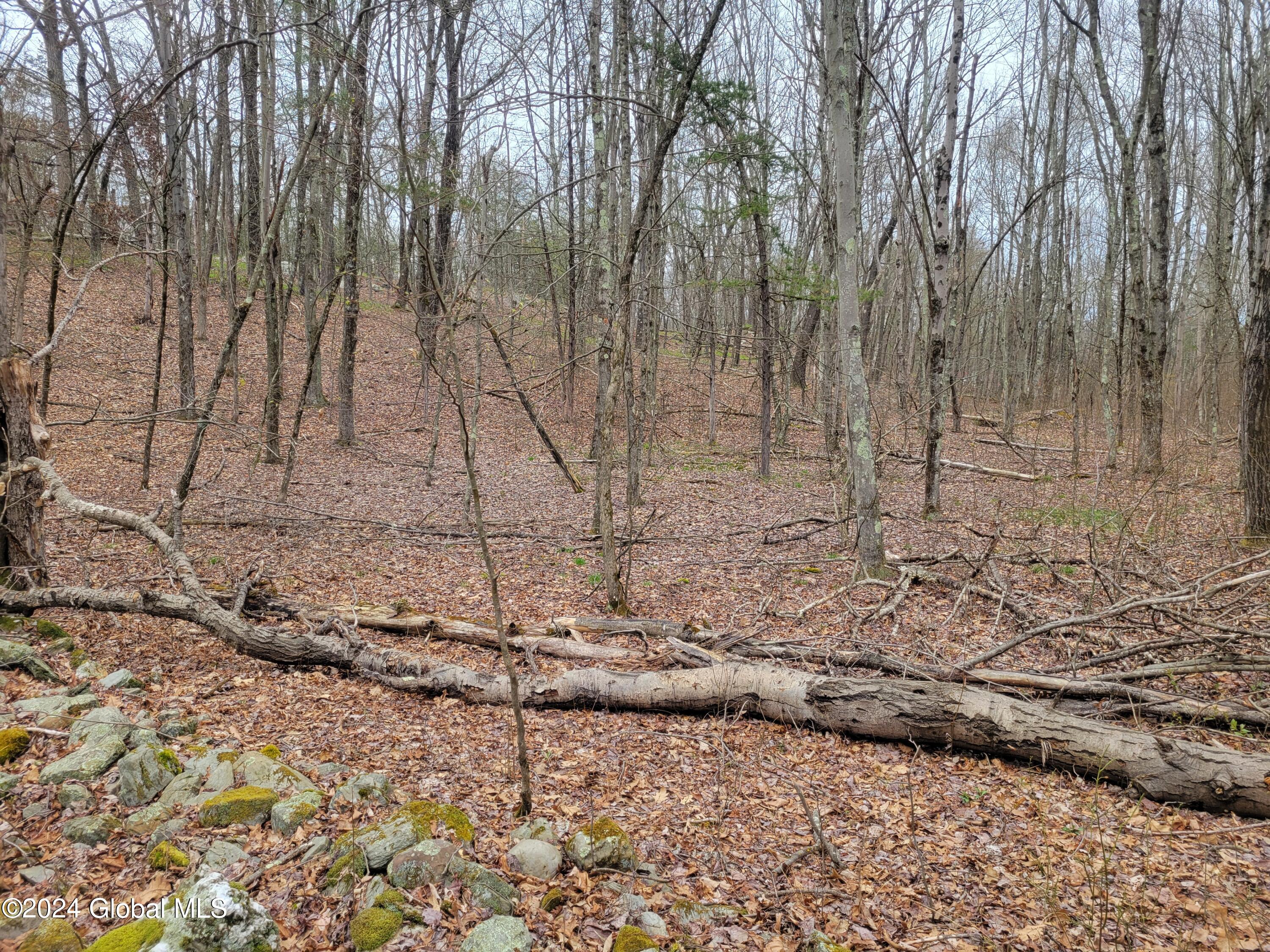 0 Post Hill Road Taghkanic, NY 12521 - Photo 9 of 10 20240419_132813