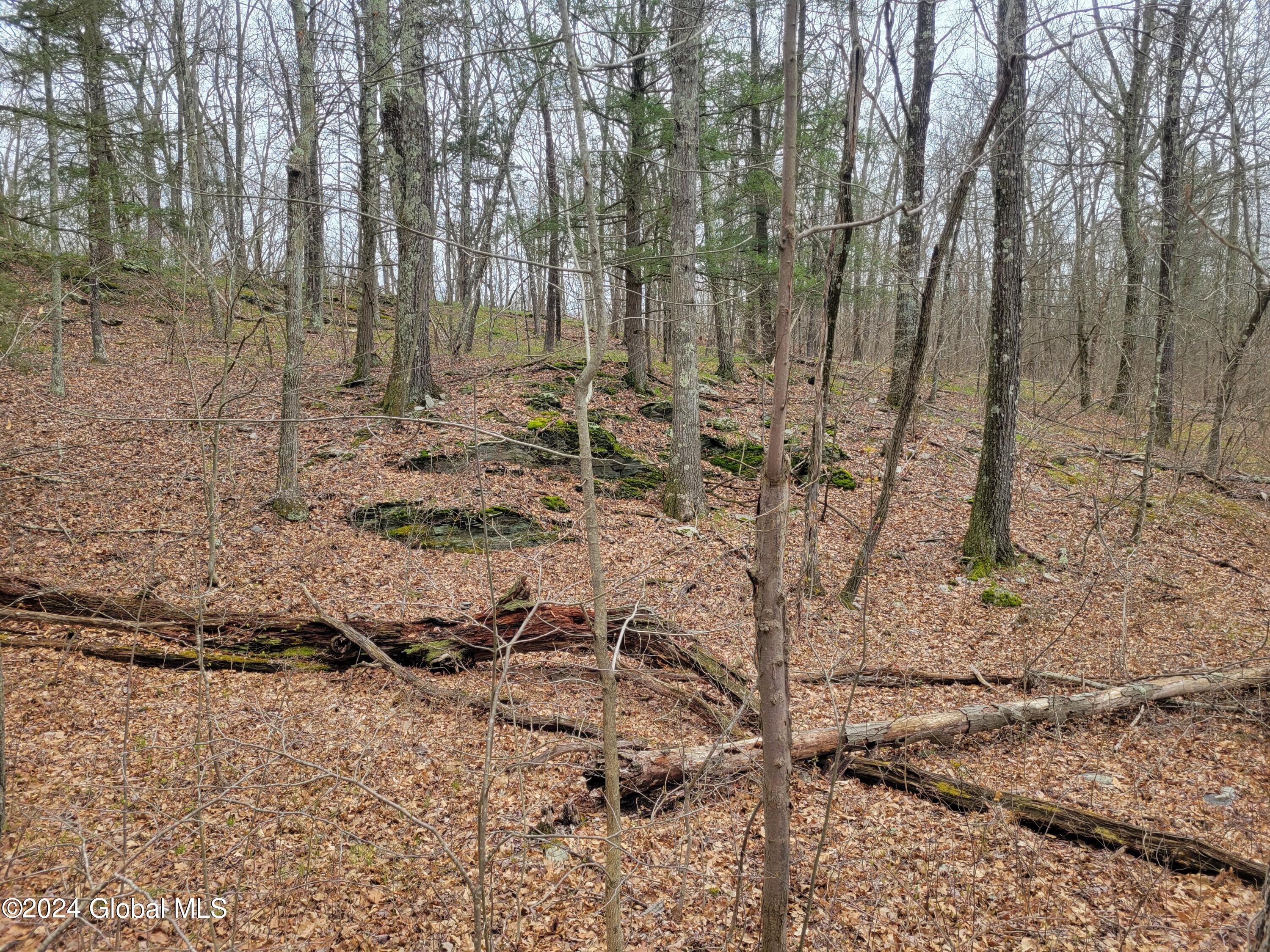 0 Post Hill Road Taghkanic, NY 12521 - Photo 10 of 10 20240419_133348