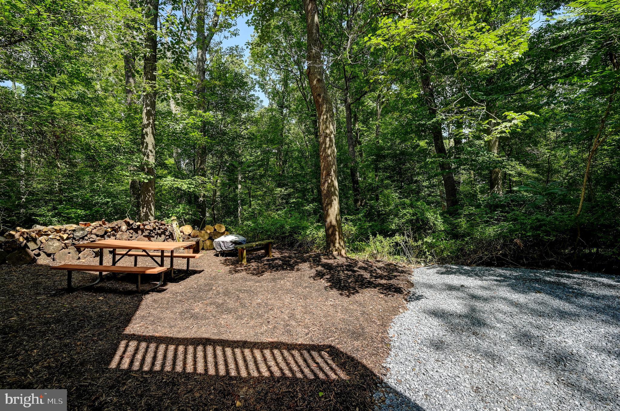 3107 Cabin Run Road Woodbine, MD 21797 - Photo 16 of 50 Outdoor Picnic And Bonfire Area