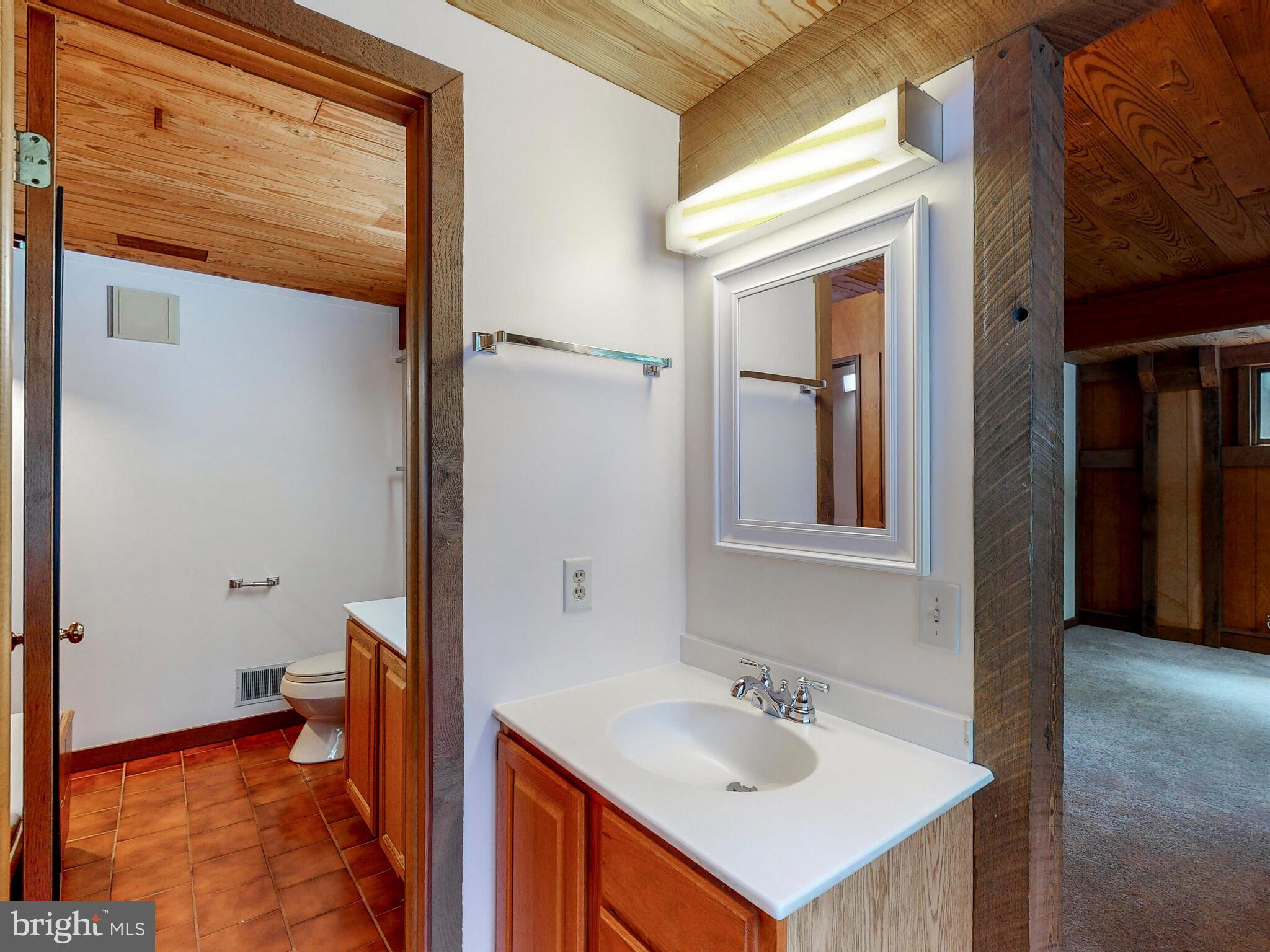 3107 Cabin Run Road Woodbine, MD 21797 - Photo 22 of 50 Main Level Primary Bathroom