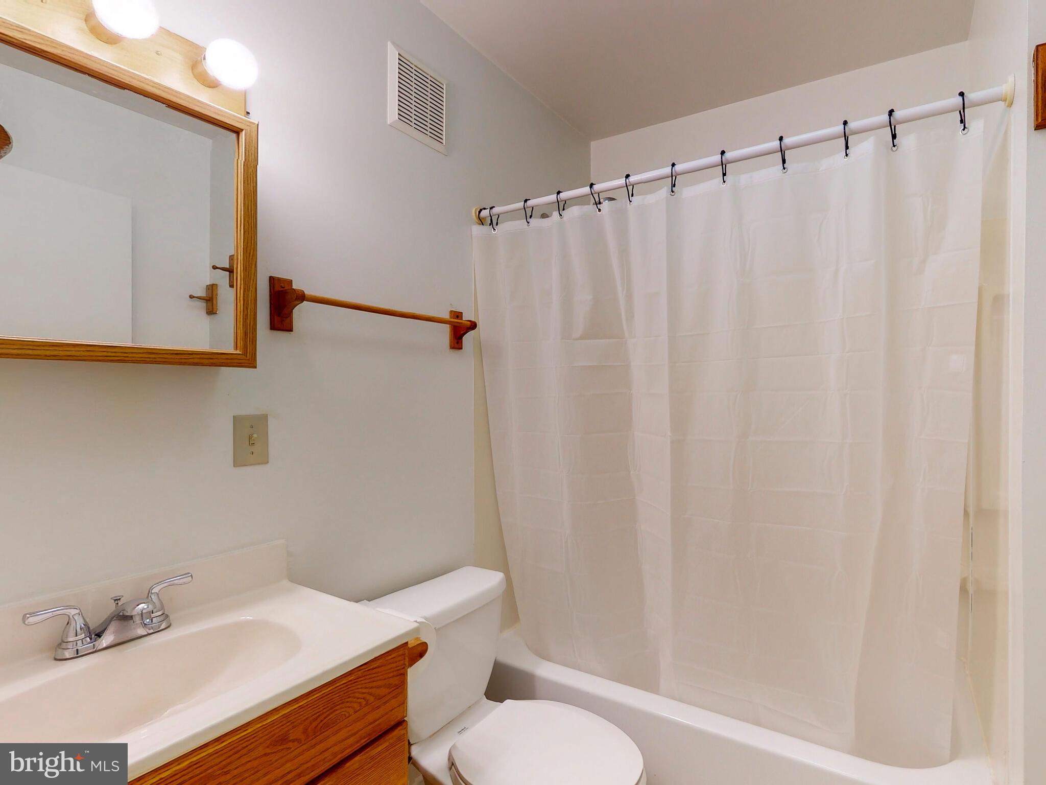 3107 Cabin Run Road Woodbine, MD 21797 - Photo 39 of 50 Studio Apartment Bathroom