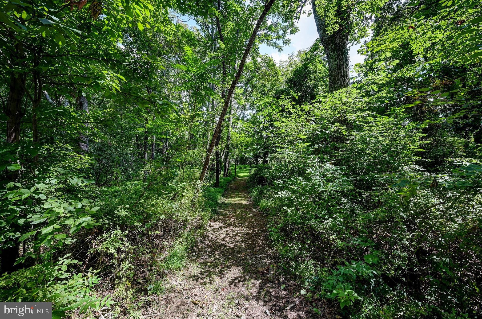 3107 Cabin Run Road Woodbine, MD 21797 - Photo 48 of 50 Walking Path Through A Wooded Wonderland