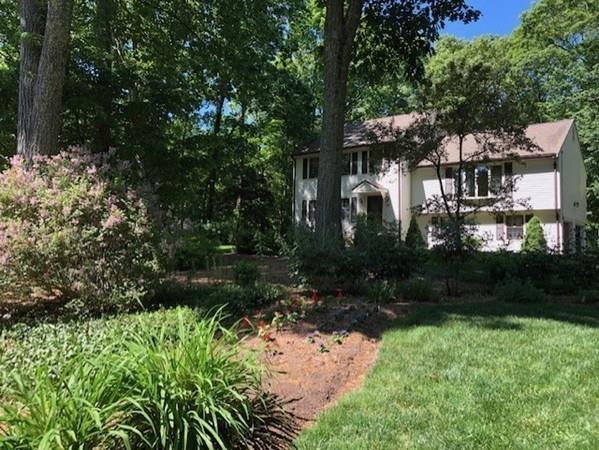 45 Trayer Road Canton, MA 02021 - Photo 2 of 37 Gallery Image 2