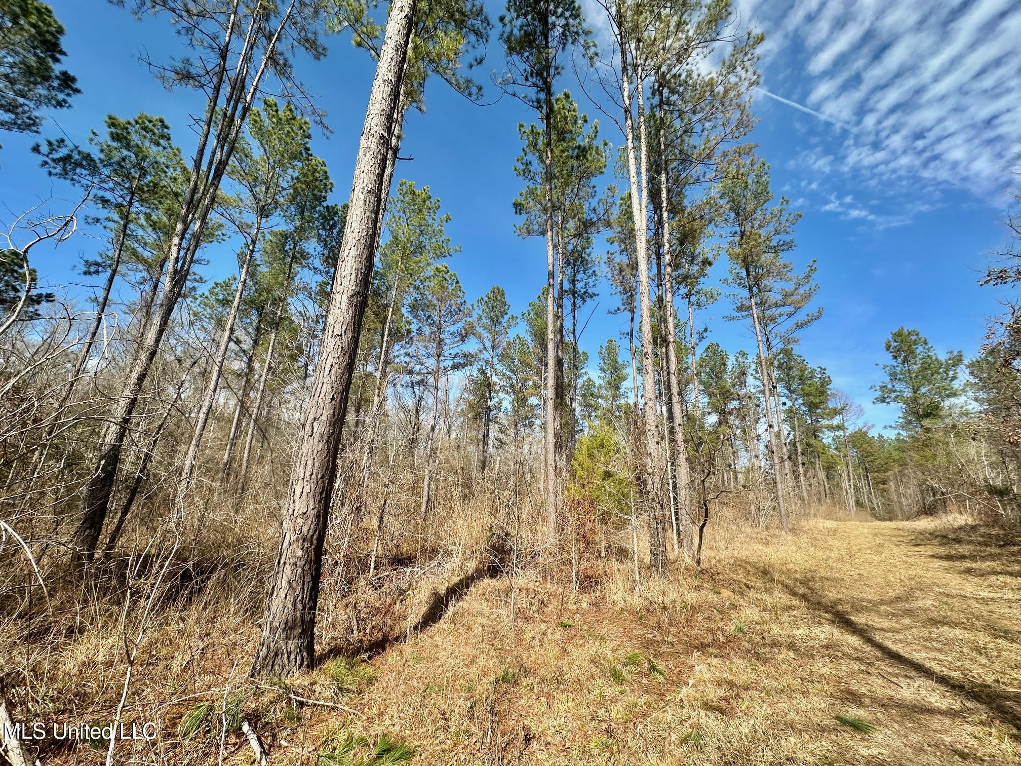 1 Prentiss Crump Road Utica, MS 39175 - Photo 15 of 38 564