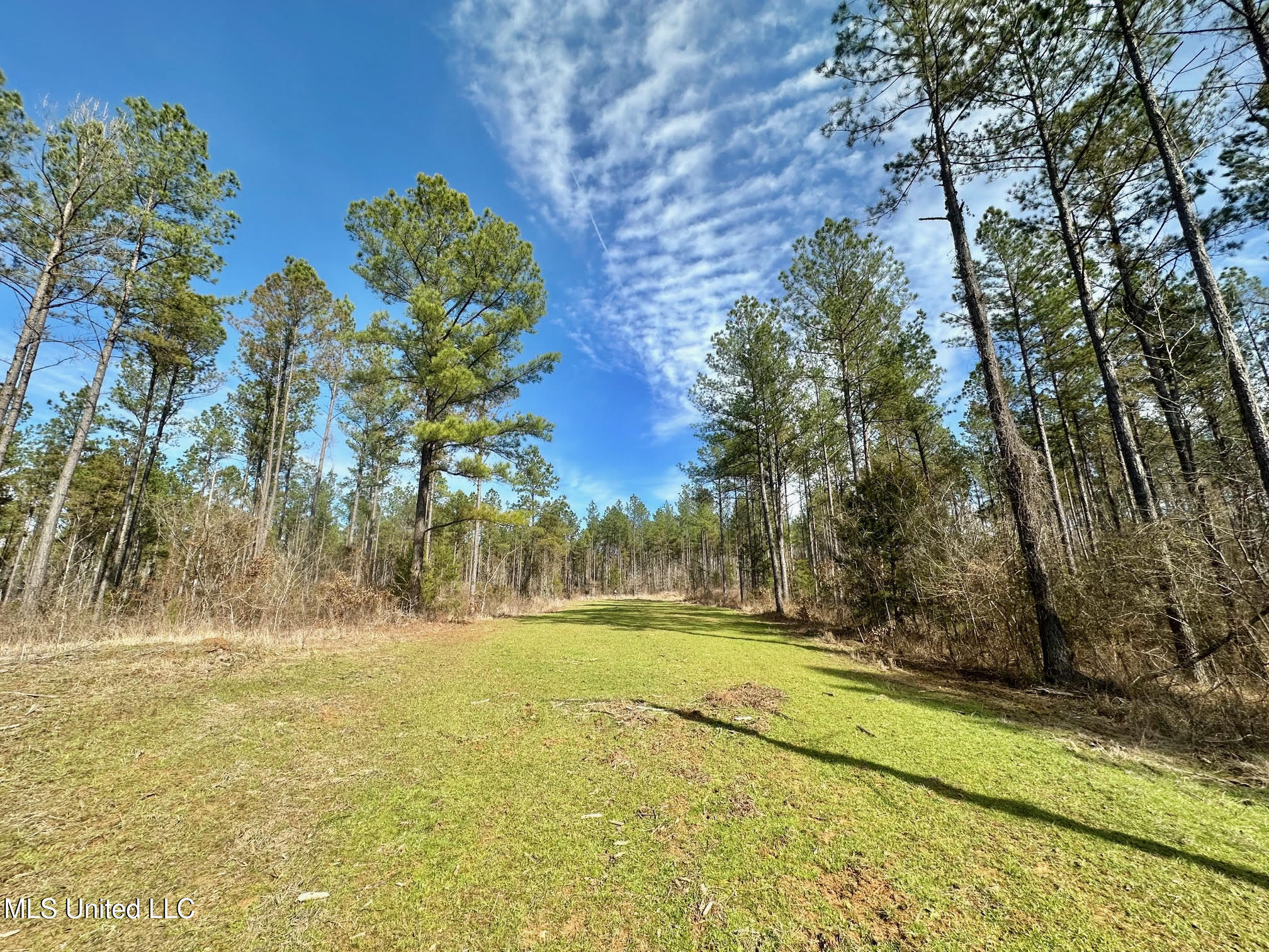 1 Prentiss Crump Road Utica, MS 39175 - Photo 16 of 38 566
