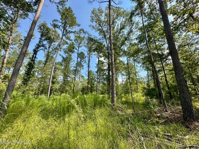 $575,000 | 1 Prentiss Crump Road, Utica, MS 39175