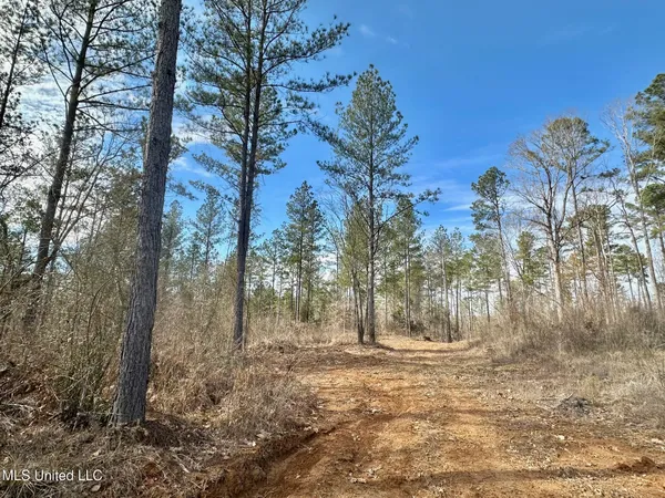 $555,000 | 1 Prentiss Crump Road, Utica, MS 39175