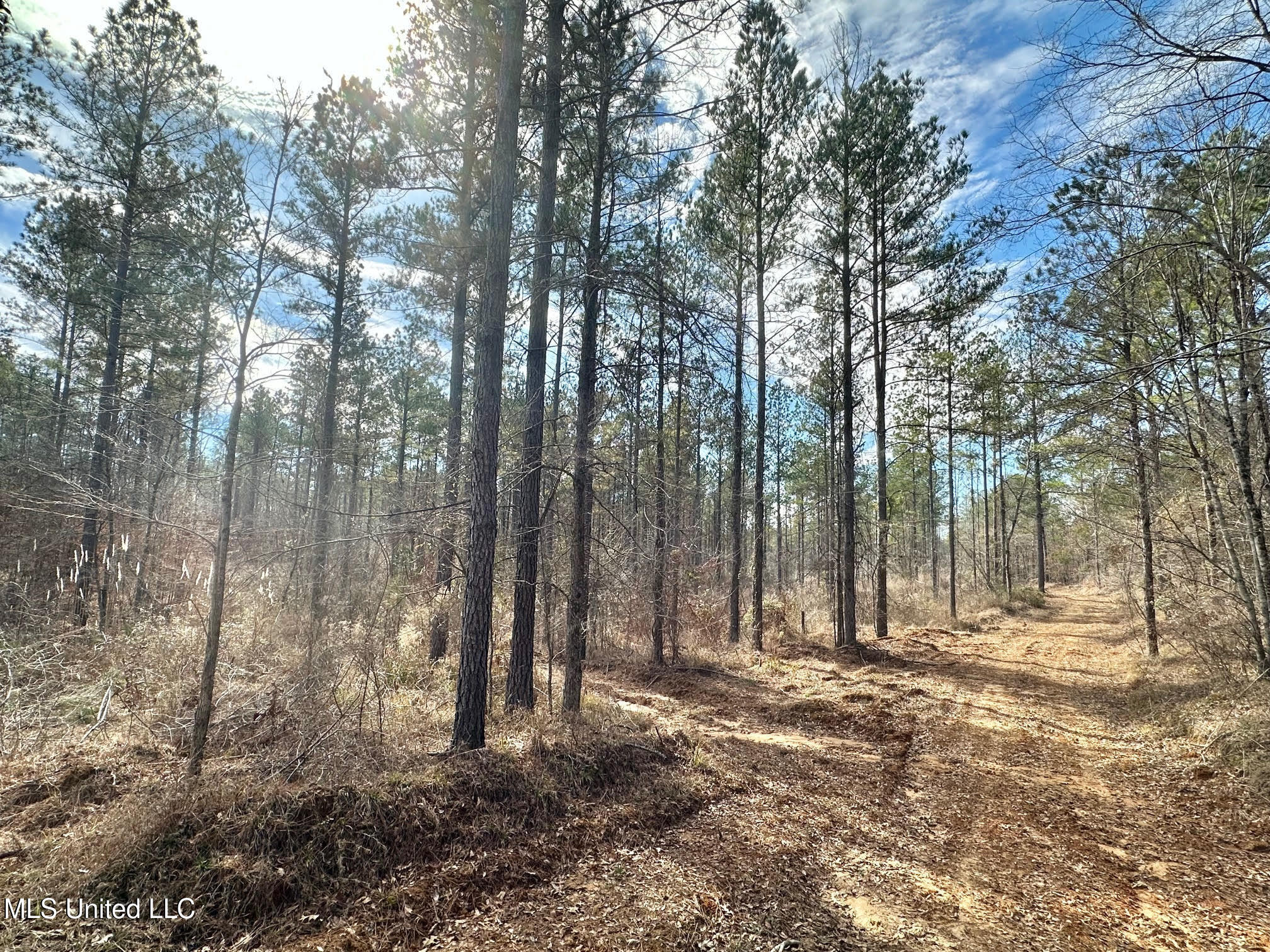 1 Prentiss Crump Road Utica, MS 39175 - Photo 20 of 38 570