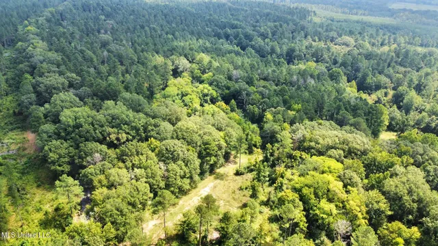 $575,000 | 1 Prentiss Crump Road, Utica, MS 39175