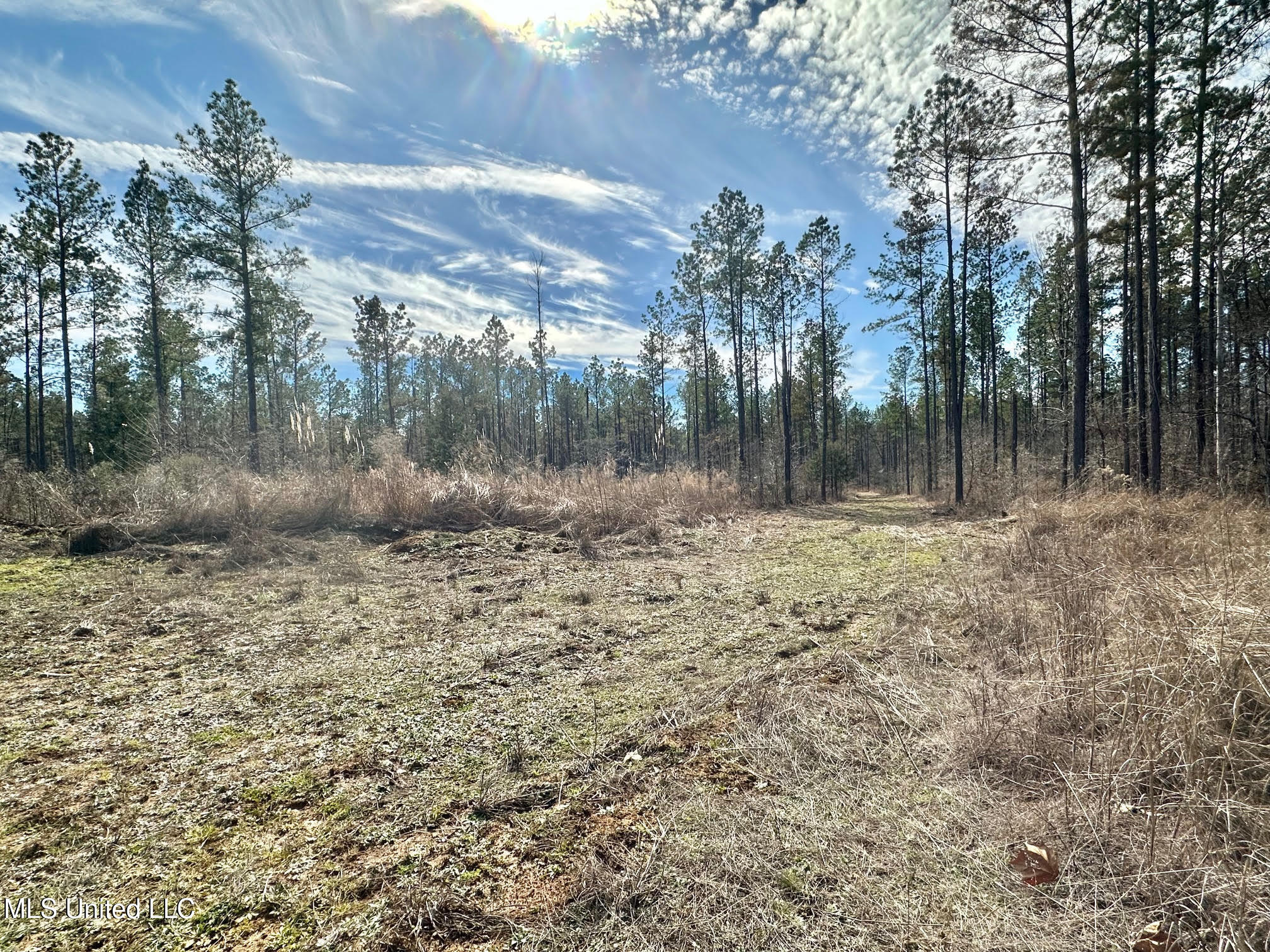 1 Prentiss Crump Road Utica, MS 39175 - Photo 21 of 38 571