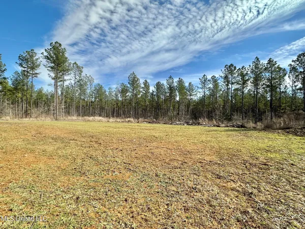 $555,000 | 1 Prentiss Crump Road, Utica, MS 39175