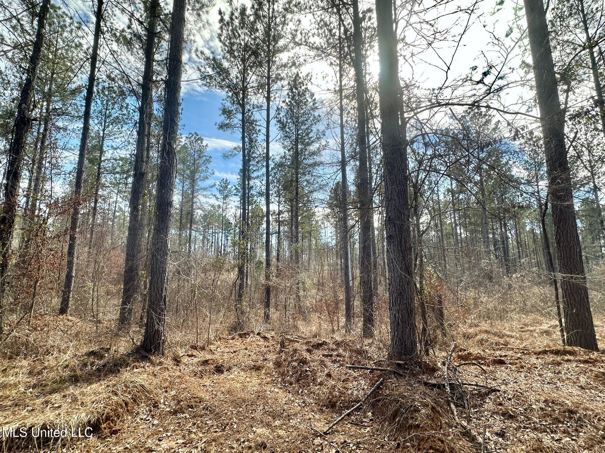 1 Prentiss Crump Road Utica, MS 39175 - Photo 25 of 38 575