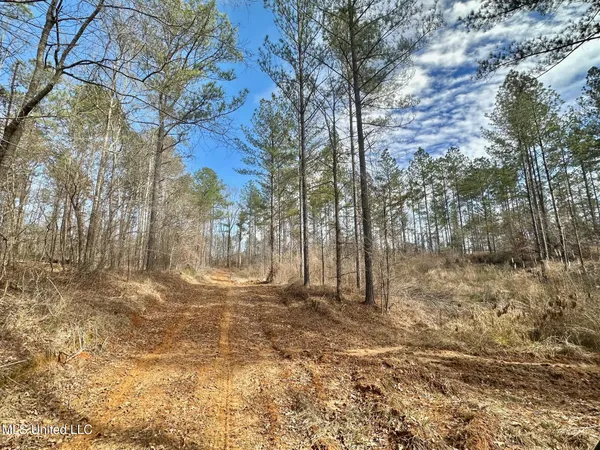 $555,000 | 1 Prentiss Crump Road, Utica, MS 39175