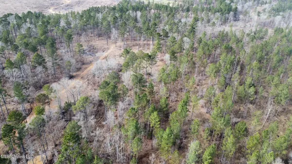 $555,000 | 1 Prentiss Crump Road, Utica, MS 39175