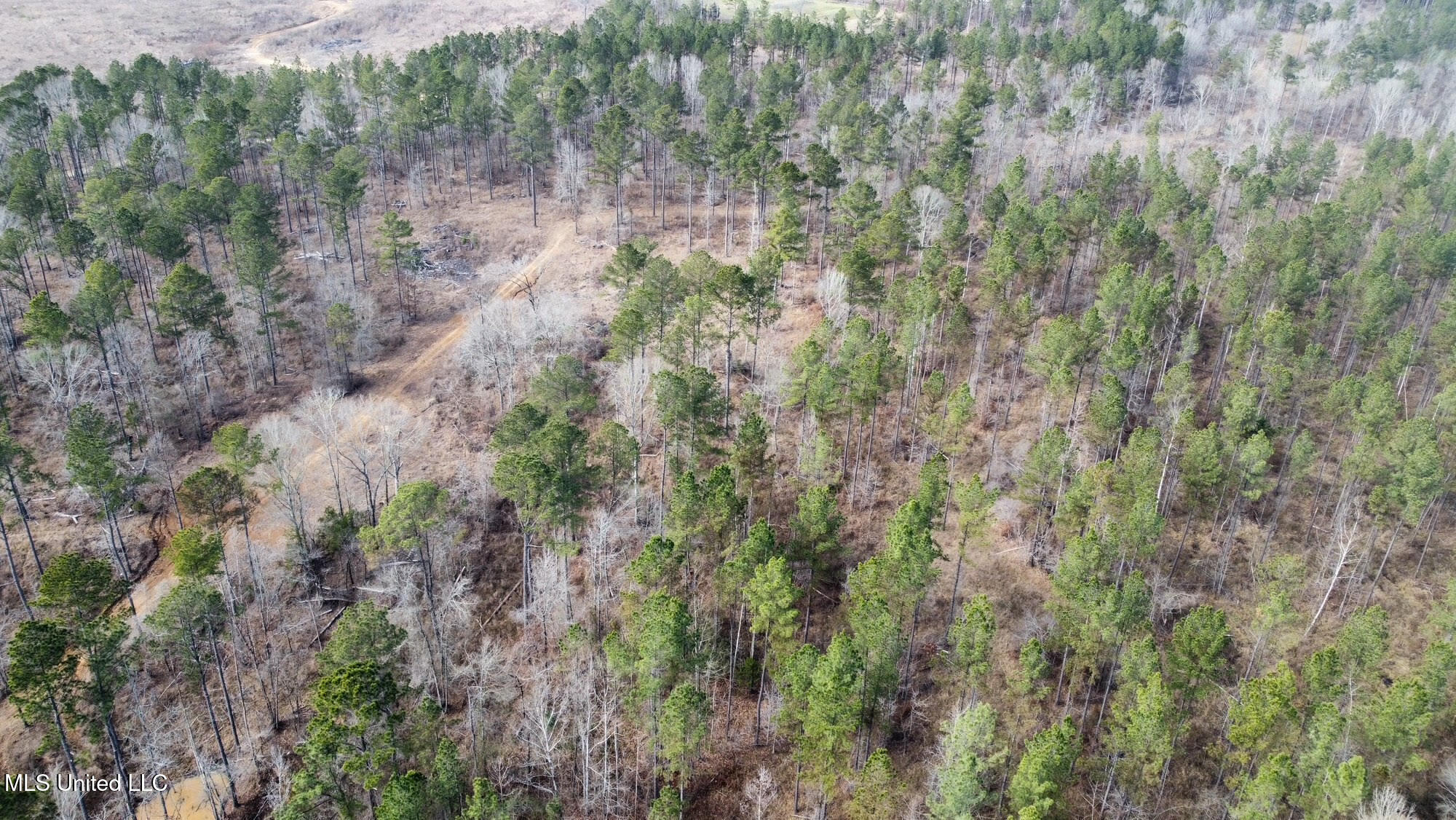 1 Prentiss Crump Road Utica, MS 39175 - Photo 29 of 38 600