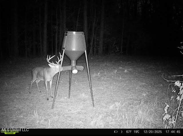 1 Prentiss Crump Road Utica, MS 39175 - Photo 36 of 38 709