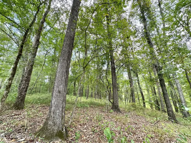 $575,000 | 1 Prentiss Crump Road, Utica, MS 39175