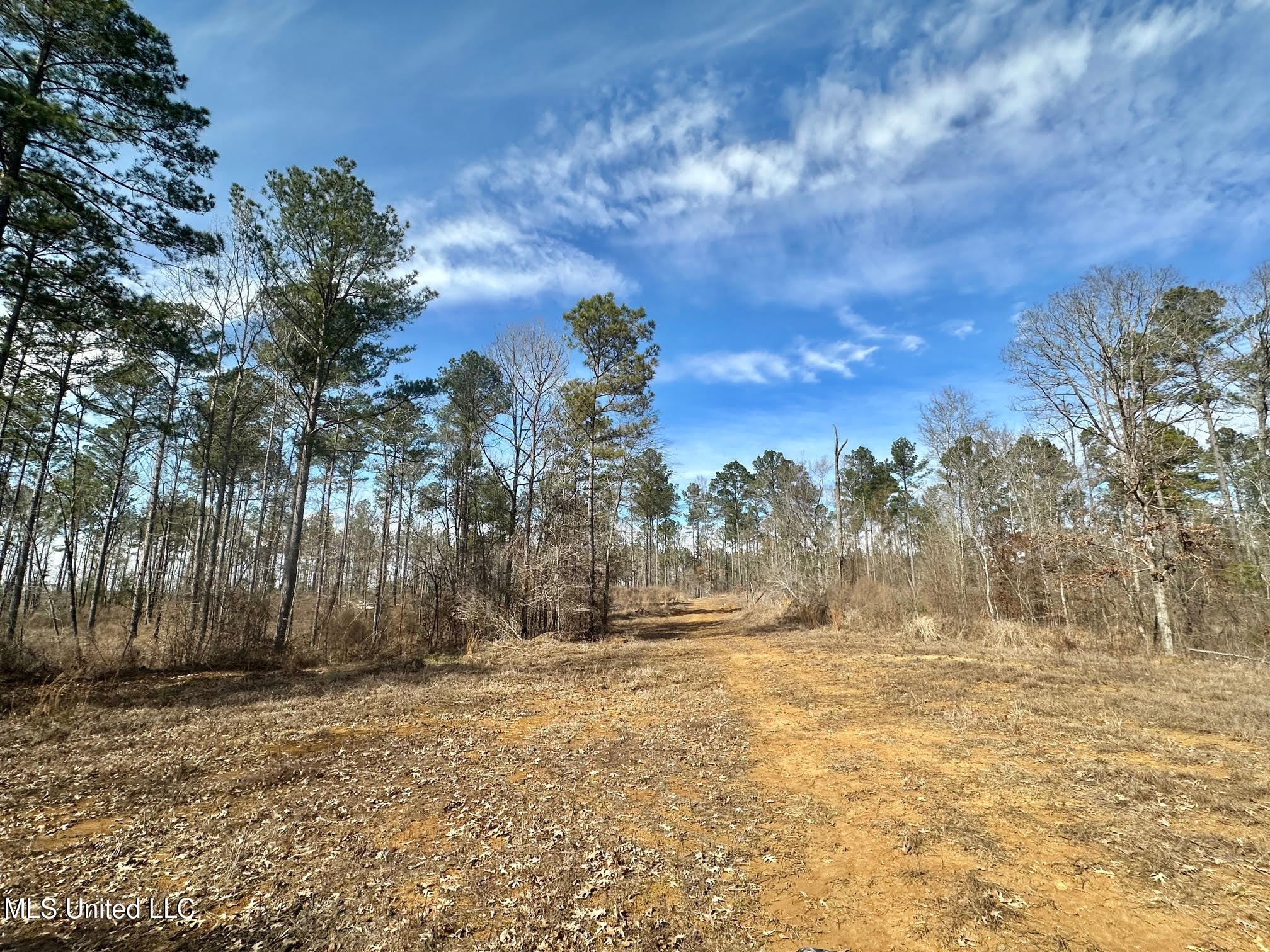 1 Prentiss Crump Road Utica, MS 39175 - Photo 8 of 38 557