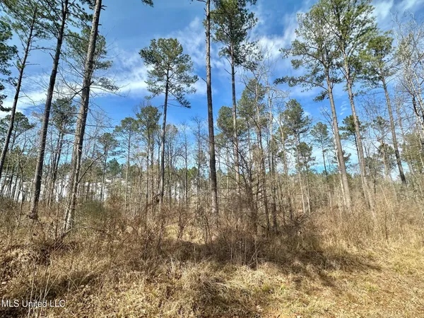 $555,000 | 1 Prentiss Crump Road, Utica, MS 39175