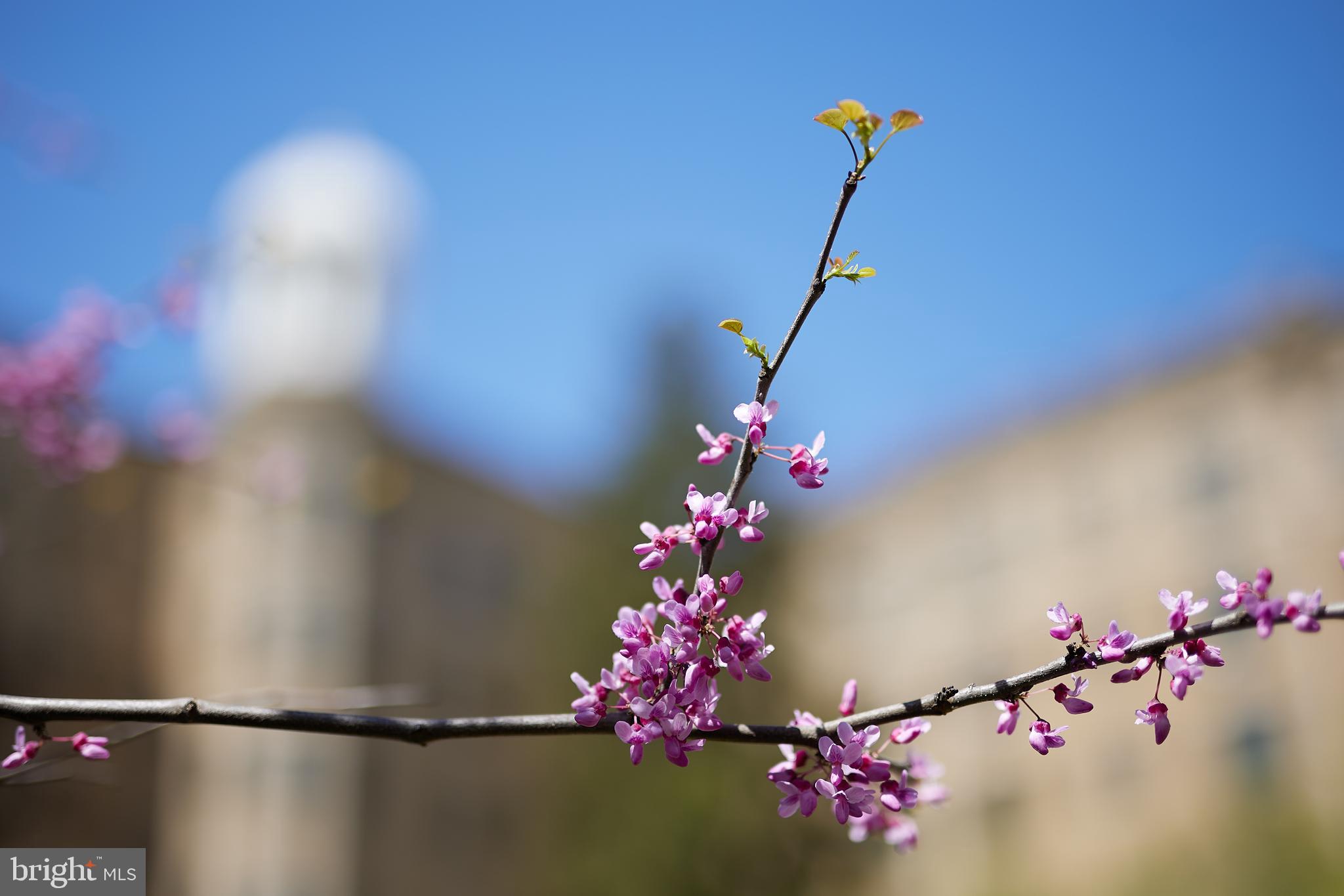 2853 Ontario Road Northwest, Unit 419 Washington, DC 20009 - Photo 27 of 44