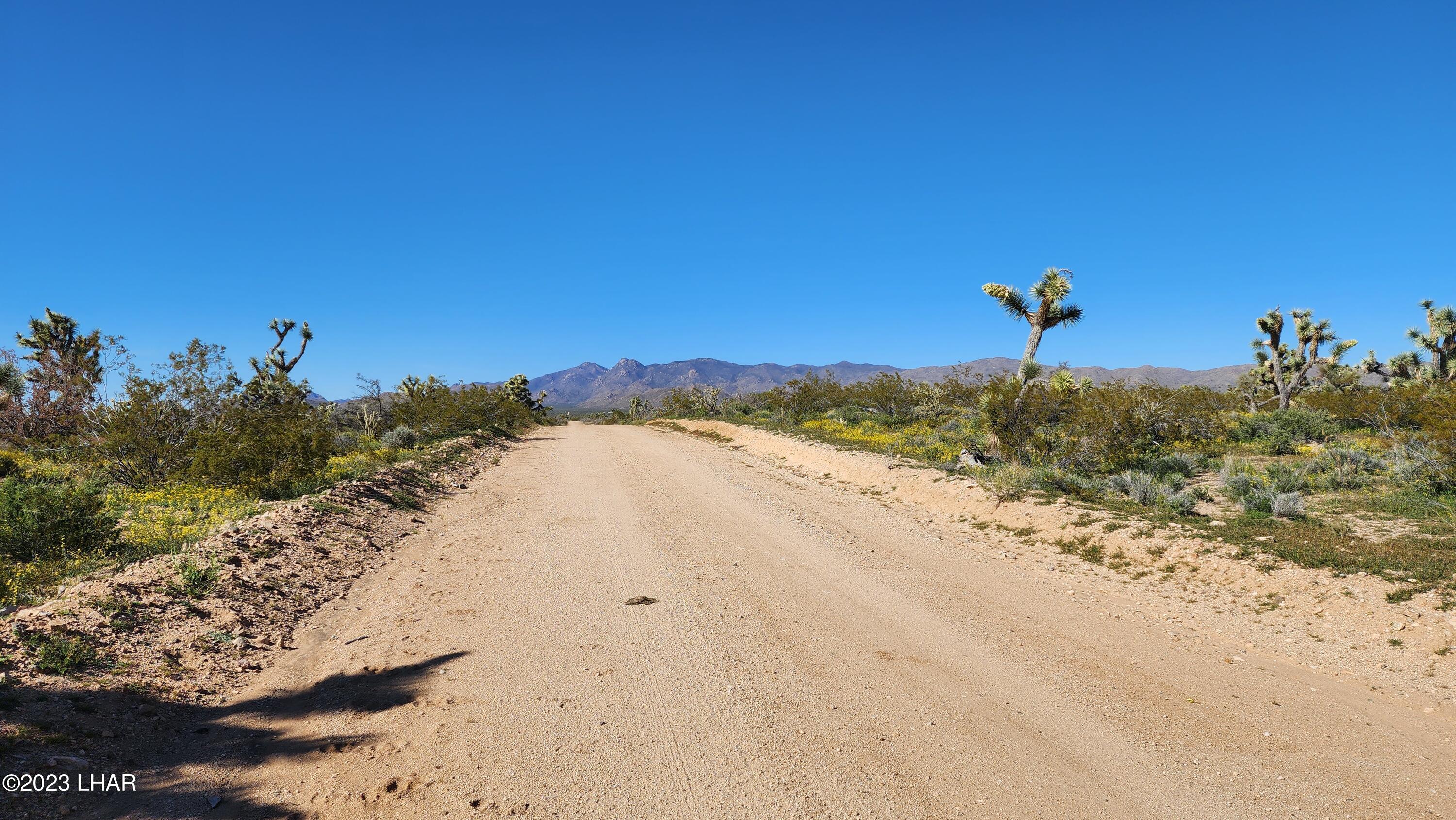 262 South Wagon Trail Road Yucca, AZ 86438 - Photo 12 of 42 20230402_155400