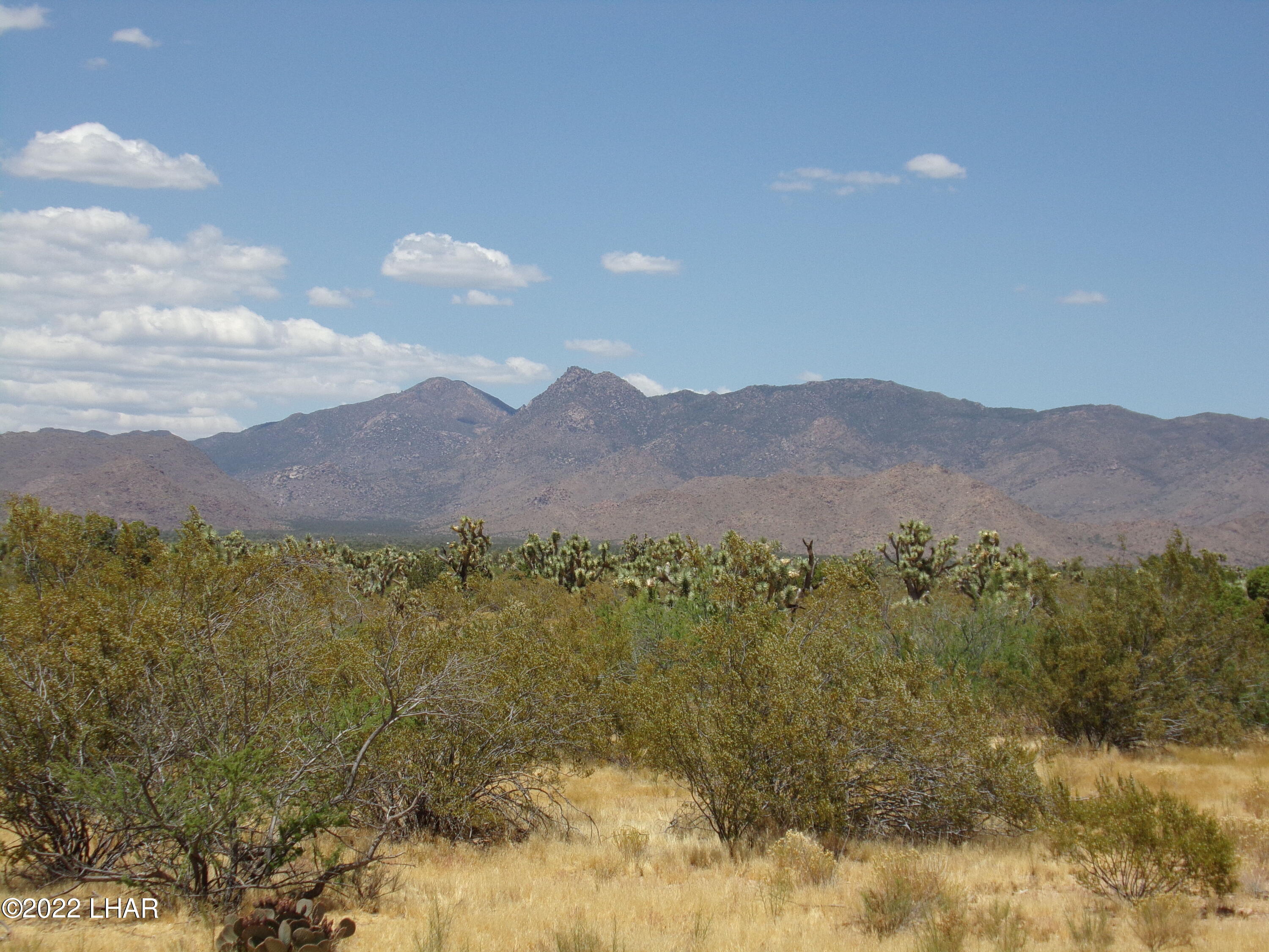 262 South Wagon Trail Road Yucca, AZ 86438 - Photo 13 of 42 Views Hualapai Mtns