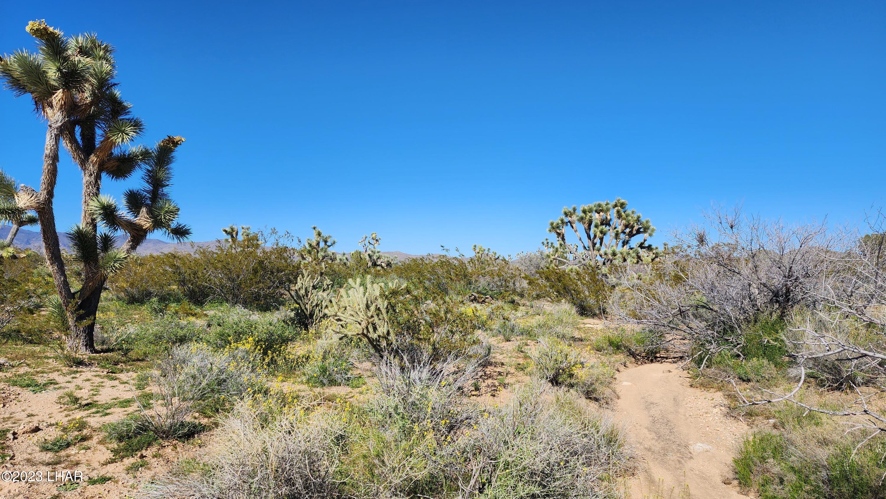 262 South Wagon Trail Road Yucca, AZ 86438 - Photo 15 of 42 20230402_155531 1
