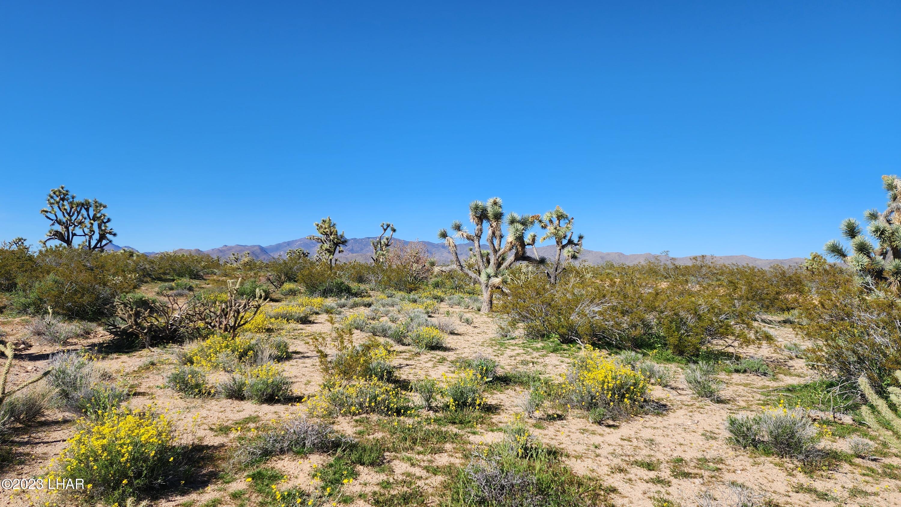 262 South Wagon Trail Road Yucca, AZ 86438 - Photo 17 of 42 20230402_155256 1 - Copy