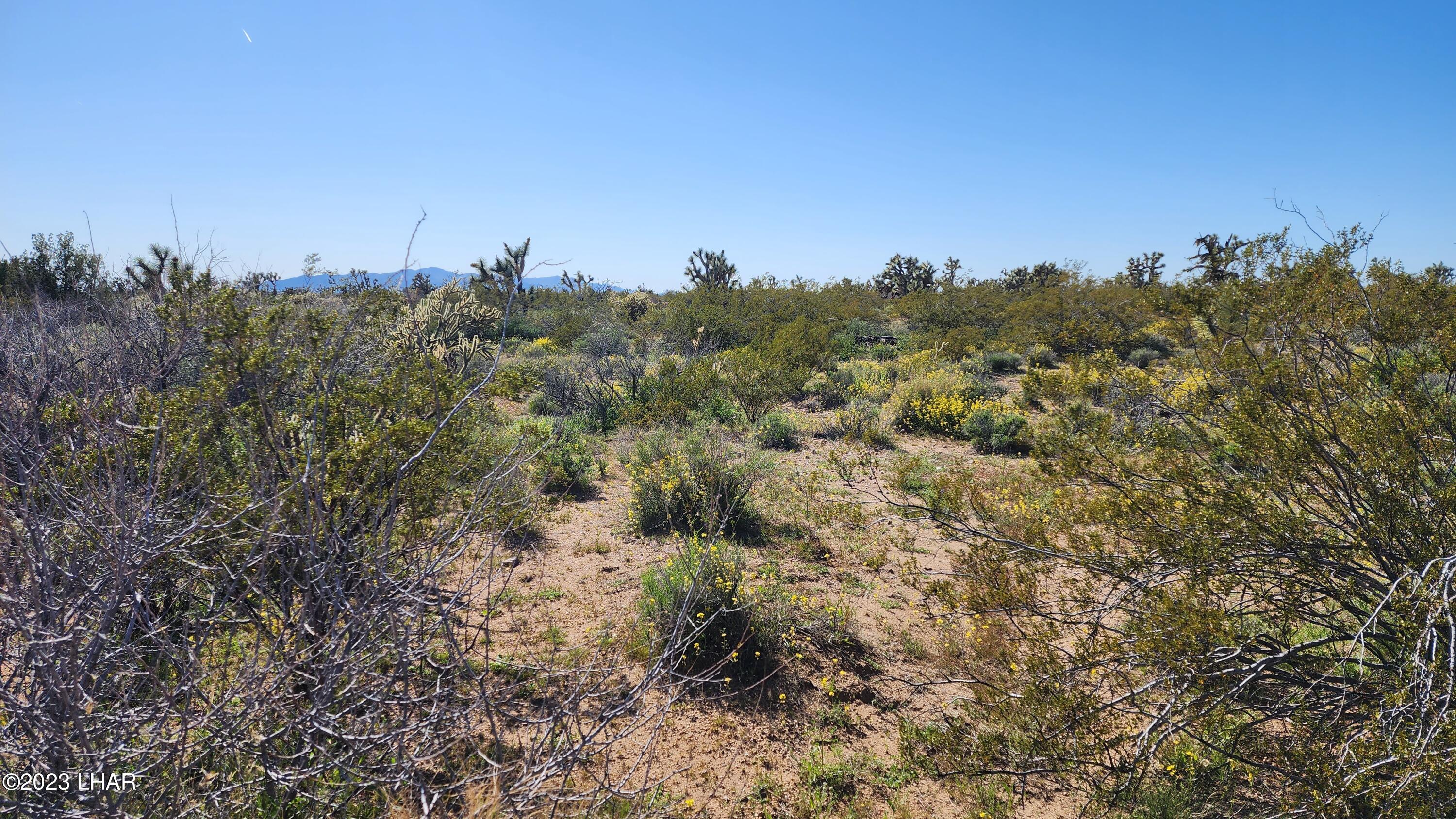 262 South Wagon Trail Road Yucca, AZ 86438 - Photo 31 of 42 20230402_155220