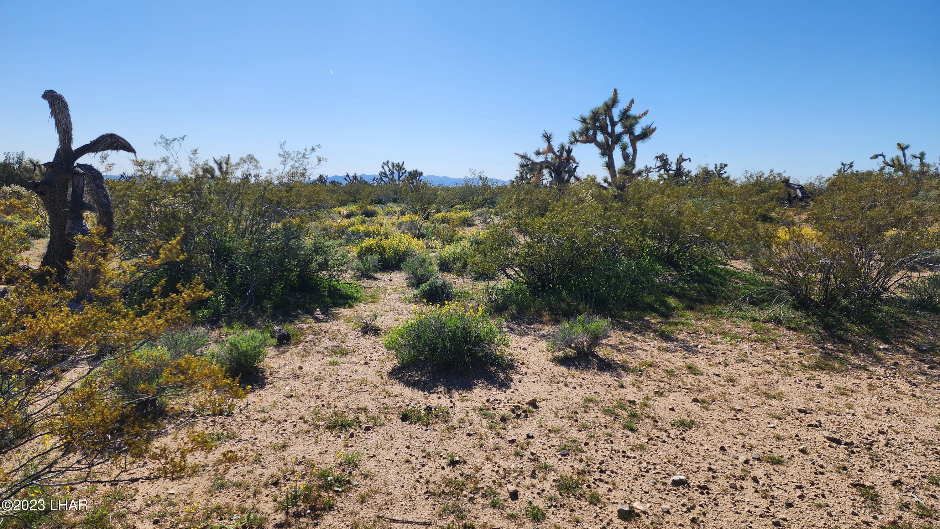 262 South Wagon Trail Road Yucca, AZ 86438 - Photo 34 of 42 20230402_155335 1