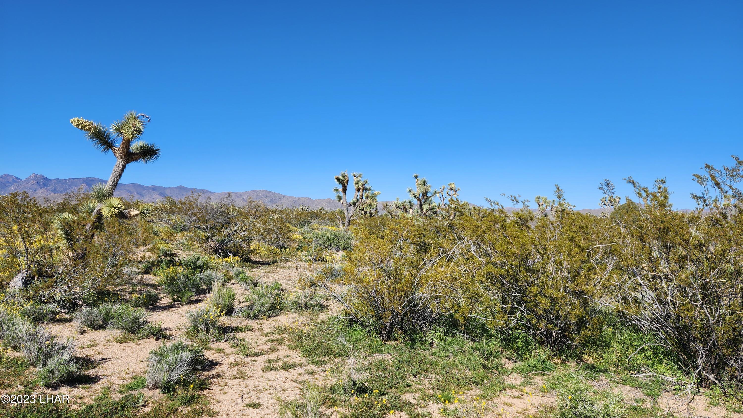 262 South Wagon Trail Road Yucca, AZ 86438 - Photo 35 of 42 20230402_155413