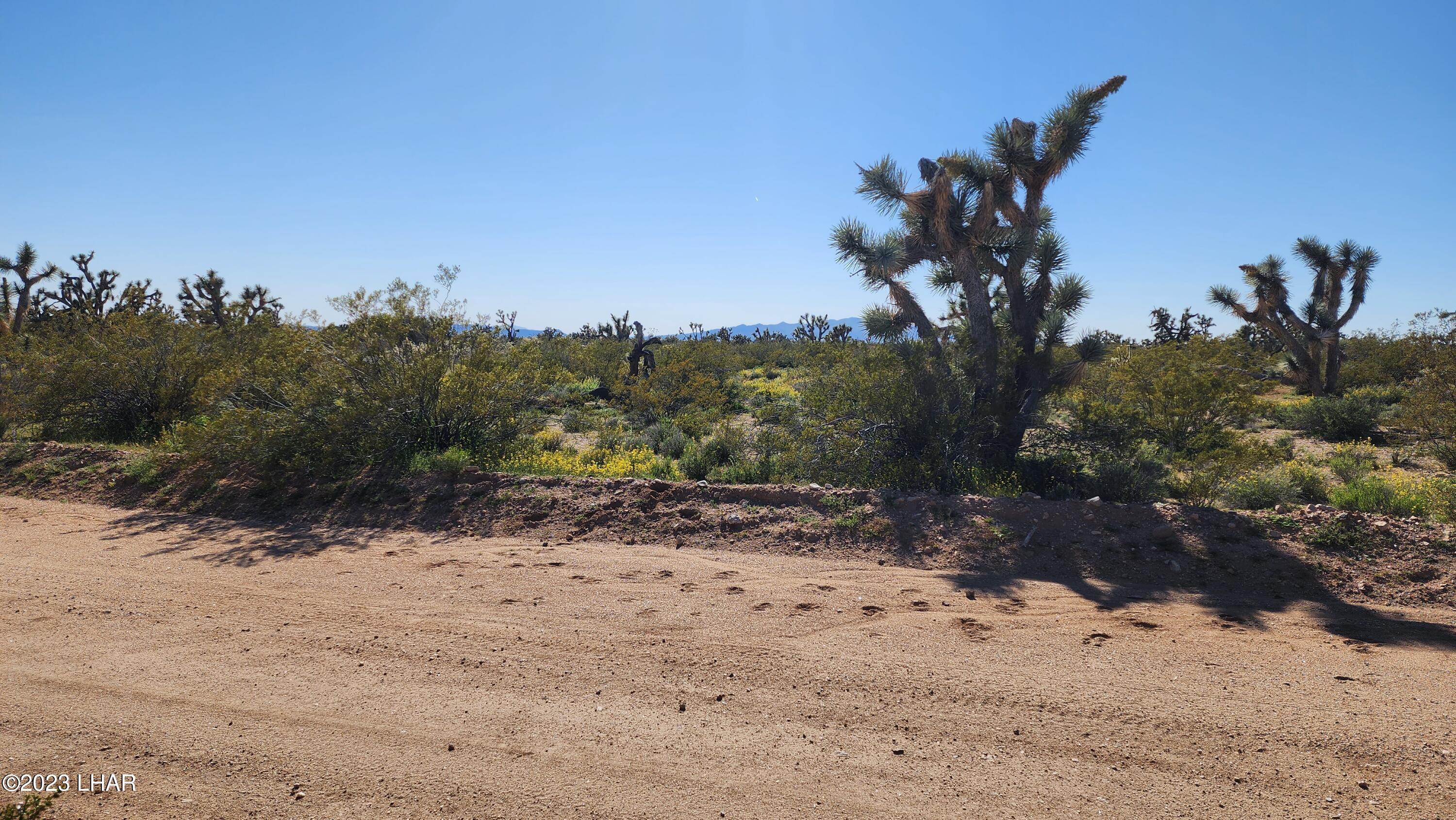 262 South Wagon Trail Road Yucca, AZ 86438 - Photo 38 of 42 20230402_155427